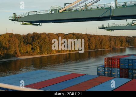 Gru a portale pronte per il funzionamento del carico nel terminal dei container sul fiume Columbia circondato da alberi e cespugli. Foto Stock