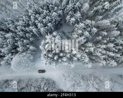 Vista aerea di una vettura sulla strada invernale nella foresta. Paesaggio invernale campagna. La fotografia aerea di boschi innevati con un auto sulla strada. Catturato f Foto Stock