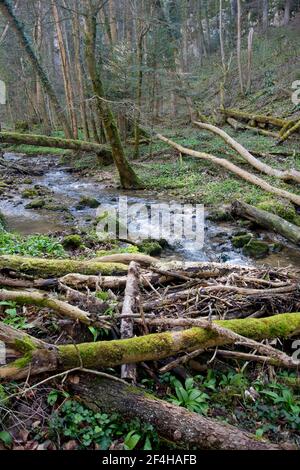 Das wilde Chasteltal in der Region Basilea Foto Stock