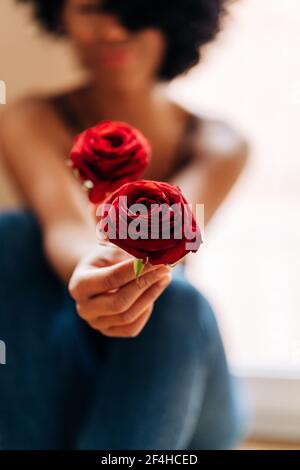 Crop anonimo African American femmina seduta a casa e mostrando teneri fiori di rosa rossa a macchina fotografica Foto Stock