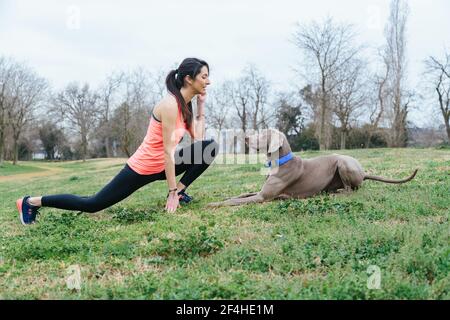 Vista laterale corpo intero di giovane donna attiva in abbigliamento sportivo facendo stretching affondo esercizio di fronte al fedele cane Weimaraner pureed mentre si passa il tempo Foto Stock