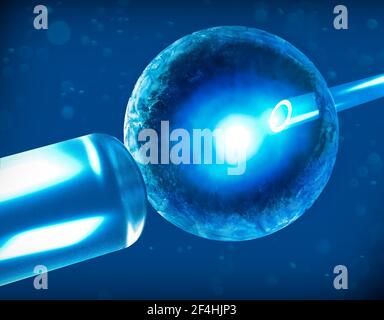 Artificiale o fecondazione assistita è il processo mediante il quale l'unione dei gameti artificialmente è effettuata mediante osservazione al microscopio Foto Stock