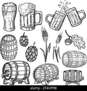 Set di elementi di design della birra disegnata a mano. Elemento di design per logo, etichetta, cartello, poster. Illustrazione vettoriale Illustrazione Vettoriale
