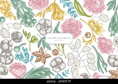 Disegno floreale con ficus pastello, eucalipto, peonia, cotone, freesia, brunia Illustrazione Vettoriale