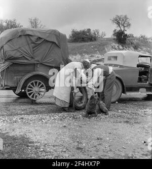 Raccoglitrici di piselli migranti sulla strada. California. Febbraio 1936. Fotografia di Dorothea Lange. Foto Stock