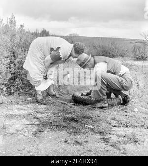 Lavoratori di piselli migranti sulla strada con problemi di pneumatici. California. Febbraio 1936. Fotografia di Dorothea Lange. Foto Stock