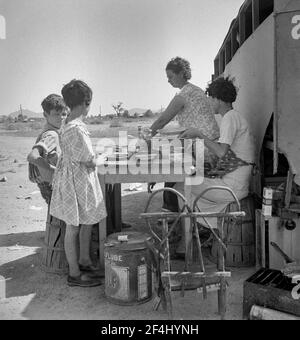 Rifugiati della siccità a Phoenix, Arizona. Uno dei molti casi di ex-agricoltori del Tennessee che si disgridano intorno, alla ricerca di lavoro in cotone. Agosto 1936. Fotografia di Dorothea Lange. Foto Stock