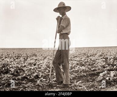 La lunga linea del Texas - un coltivatore fa una pausa nel suo campo agricolo. Vicino a Dallas, Texas. Agosto 1936. Fotografia di Dorothea Lange. Fotografia di Dorothea Lange. Foto Stock
