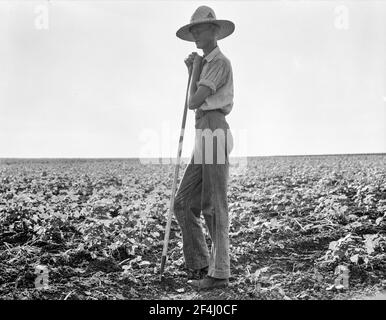 La lunga linea del Texas - un coltivatore fa una pausa nel suo campo agricolo. Vicino a Dallas, Texas. Agosto 1936. Fotografia di Dorothea Lange. Fotografia di Dorothea Lange. Foto Stock