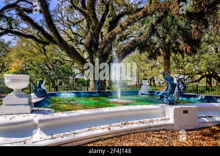 Washington Square presenta una fontana e numerosi alberi di quercia dal vivo, il 13 marzo 2021, a Mobile, Alabama. Foto Stock