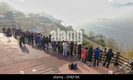 Maehwa ( Japanes Apricot Flower ) fiorisce nel villaggio di wondong maehwa in primavera a wondong, gyeongnam, Yangsan, Corea del Sud, Asia Foto Stock
