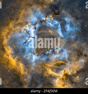 Rosetta Nebula Pro Dataset Narrowband SHO la Rosetta Nebula (Noto anche come Caldwell 49) È una grande regione sferica H II Foto Stock