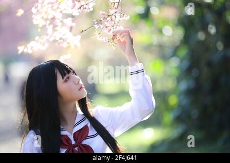 Scuola giapponese ragazza vestito con sakura fiore natura passerella Foto Stock