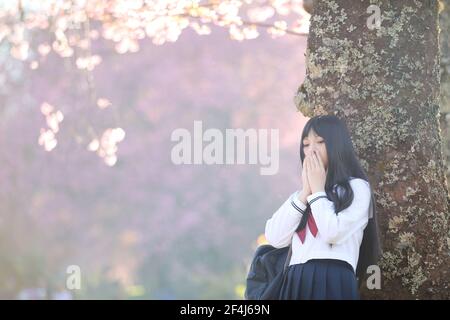 Scuola giapponese ragazza vestito guardando sakura fiore natura passerella Foto Stock