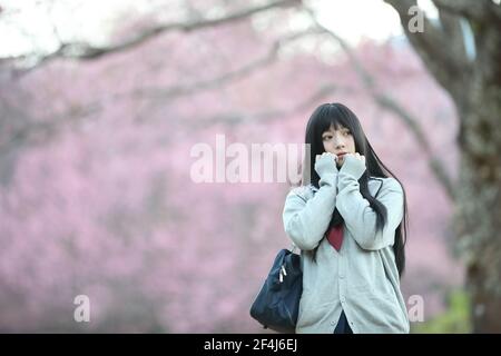 Scuola giapponese ragazza vestito guardando sakura fiore natura passerella Foto Stock