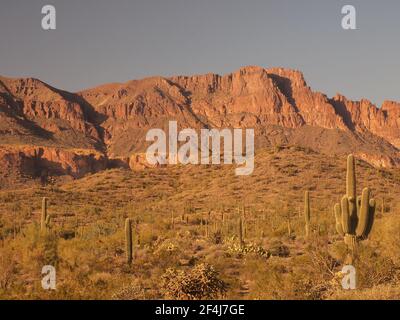 Vista delle Superstition Mountains dalla Peralta Trailhead vicino ad Apache Junction, Arizona. L'area fa parte della Foresta Nazionale di Tonto. Foto Stock