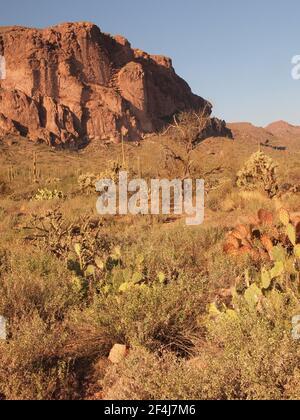 Vista delle Superstition Mountains dalla Peralta Trailhead vicino ad Apache Junction, Arizona. L'area fa parte della Foresta Nazionale di Tonto. Foto Stock