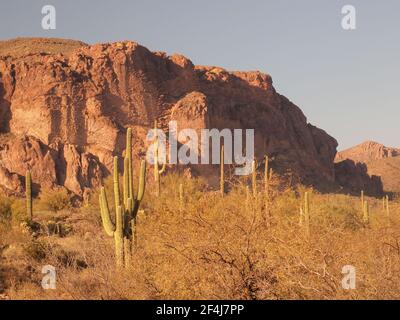 Vista delle Superstition Mountains dalla Peralta Trailhead vicino ad Apache Junction, Arizona. L'area fa parte della Foresta Nazionale di Tonto. Foto Stock