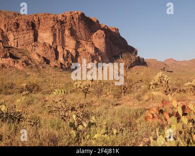 Sole pomeridiano sulle Superstition Mountains dalla Peralta Trailhead vicino ad Apache Junction, Arizona. Sito di numerosi sentieri che offrono una vista mozzafiato Foto Stock