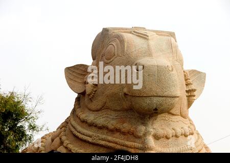 Primo piano della faccia della grande statua in pietra di Nandi a Lepakshi ad Andhra Pradesh, India. Asia Foto Stock