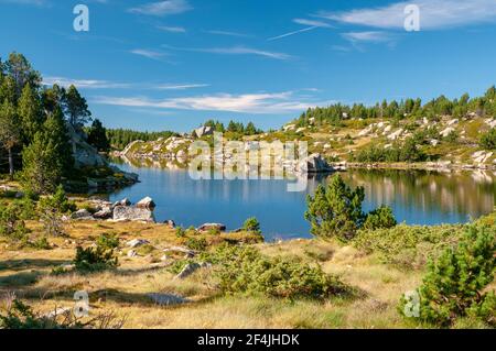 Il lago ‘Etang sec’, parte dei laghi Bouillouses, un sito naturale nella regione di Capcir, Parco Naturale Regionale dei Pirenei Catalani, Pirenei Orientali Foto Stock