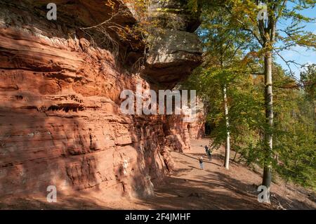 Formazione di rocce di arenaria, Altschlossfelsen, Foresta di Palatinato, Renania Palatinato, Germania, Europa Foto Stock