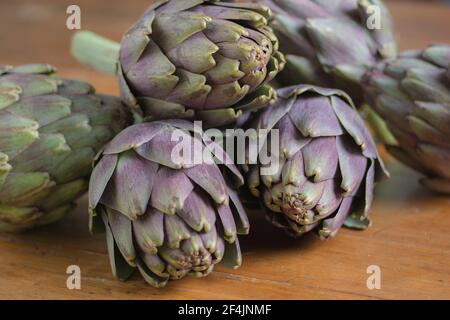 Bellissimi carciofi Globe (Cynara cardunculus var. Scolymus), conosciuti anche con i nomi di carciofi francesi e carciofi verdi, nei colori del verde e del pu Foto Stock