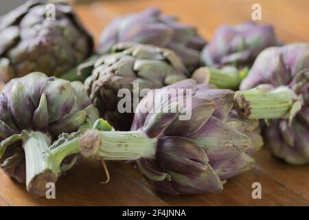 Bellissimi carciofi Globe (Cynara cardunculus var. Scolymus), conosciuti anche con i nomi di carciofi francesi e carciofi verdi, nei colori del verde e del pu Foto Stock