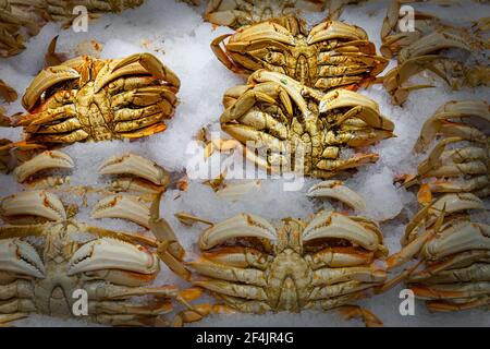I granchi freschi dell'Alaska King si siedono sul ghiaccio in un mercato del pesce a Seattle, Washington. Foto Stock