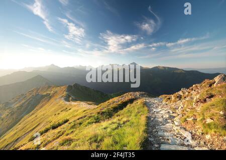 Percorre i Carpazi durante l'alba, luglio, Polonia Foto Stock