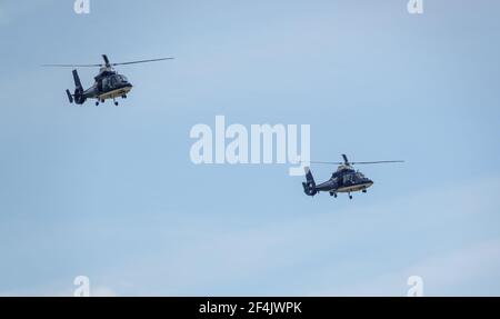 Un paio di SAS Special Air Service, Army Air Corps Dauphin elicotteri di 658 squadrone da Credenhill in un esercizio di addestramento militare, Wiltshire UK Foto Stock