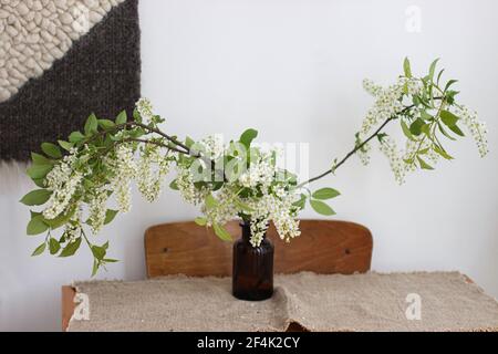 Bella fioritura rami bianco ciliegio uccello su rustico tavolo di legno. Fiori di ciliegio primaverile in vaso di vetro marrone, vita still rurale. Campagna aut Foto Stock