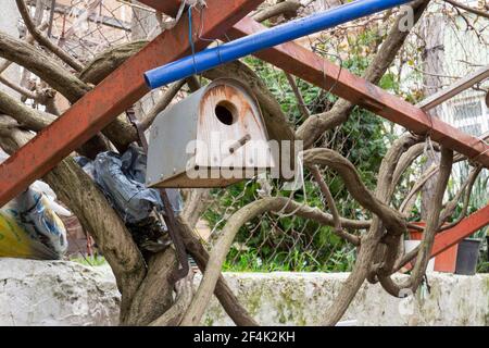 All'ombra di un albero di mora, casa di uccelli in legno sospeso da barre di ferro. Fuoco selettivo Foto Stock