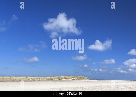 Geografia / viaggio, Danimarca, Nordjuetland, Grenen, dune al capo Grenen della punta settentrionale Jutlan, diritti aggiuntivi-clearance-Info-non-disponibile Foto Stock