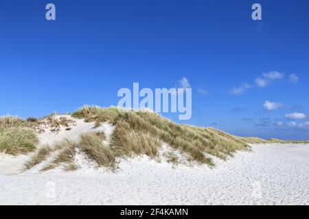 Geografia / viaggio, Danimarca, Nordjuetland, Grenen, dune al capo Grenen della punta settentrionale Jutlan, diritti aggiuntivi-clearance-Info-non-disponibile Foto Stock