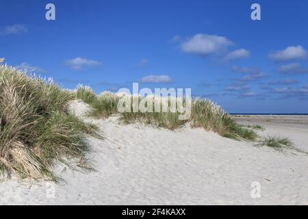 Geografia / viaggio, Danimarca, Nordjuetland, Grenen, dune al capo Grenen della punta settentrionale Jutlan, diritti aggiuntivi-clearance-Info-non-disponibile Foto Stock