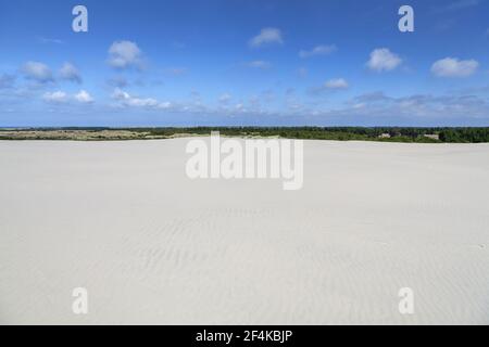 Geografia / viaggio, Danimarca, Nordjylland, Råbjerg Mile, duna di sabbia che si sposta Råbjerg Mile, Nordjylland, , Additional-Rights-Clearance-Info-Not-Available Foto Stock