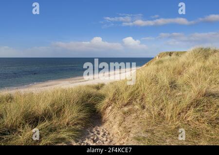 Geografia / viaggio, Danimarca, Nordjylland, Hirthals, dune e spiaggia di Hirtshals, Nordjylland, Norther, Additional-Rights-Clearance-Info-non-disponibile Foto Stock