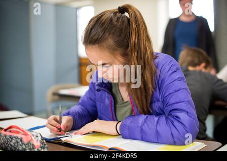 Harrison, New York, Stati Uniti d'America. Femmina scuola primaria studenti che frequentano le lezioni presso la scuola di lingua olandese e la cultura. Foto Stock