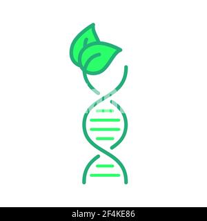 Elica del DNA con un'icona verde a forma di foglia. Logo della scienza della biotecnologia. Simbolo di genetica, medicina, biologia, chimica. Ricerca naturale e rispettosa dell'ambiente Illustrazione Vettoriale