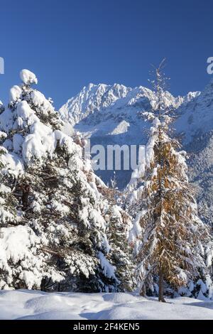 Geografia / viaggio, Germania, Baviera, Mittenwald, paesaggio di verricello di fronte ai Monti Karwendel, mi, diritti aggiuntivi-clearance-Info-non-disponibile Foto Stock