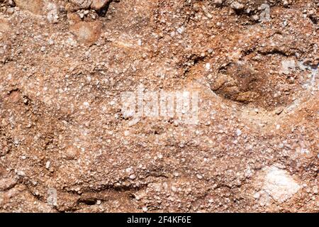 Priorità bassa della roccia Foto Stock