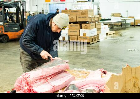 La città di New York, Stati Uniti d'America. Commercio all'ingrosso di mercato dipendente di stallo il taglio di pesce fresco al nuovo Fulton Mercato del Pesce, Caccia punto il Bronx. Foto Stock