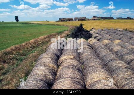 SPAGNA - Páramos de Burgos (distretto) - Castille e Leon - BURGOS. Rollos de paja y paisaje agricola cerca de Villasandino (provincia Burgos) Foto Stock