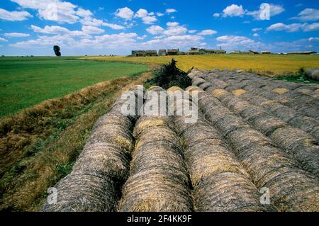 SPAGNA - Páramos de Burgos (distretto) - Castille e Leon - BURGOS. cerca de Burgos; Sierra de Atapuercas Foto Stock