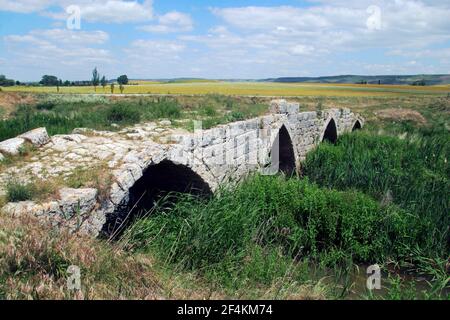 SPAGNA - Páramos de Burgos (distretto) - Castille e Leon - BURGOS. Sasamón; restos de puente y calzada romana Foto Stock