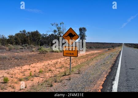 Australia, NSW, segno di avvertimento per animal crossing su Silver City autostrada Foto Stock