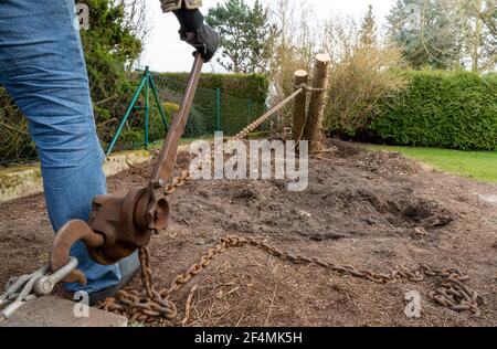 Rimozione di un ceppo di alberi con un paranco nel giardino. Foto Stock