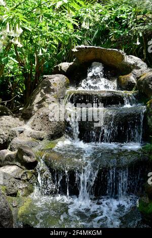 Australia, fontana nei giardini pubblici di Fitzroy a East Melbourne Foto Stock