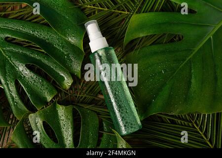 toner per bottiglie cosmetiche o acqua micellare con pipetta in piedi su un tavolo verde con foglie di palmo. Concetto di cura della pelle del viso. Cosmetica vegana naturale. Siero Foto Stock